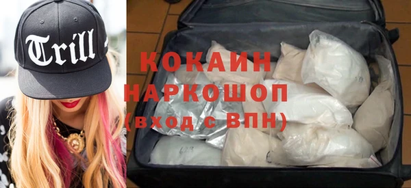 сатива Березники